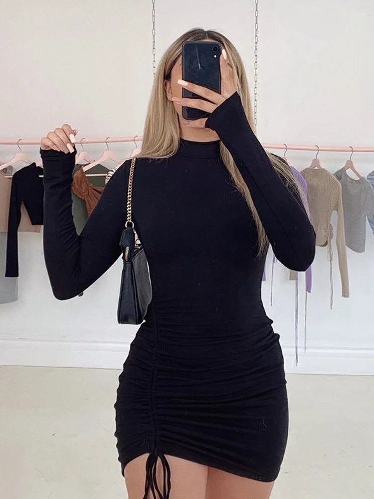 Hailey Turtleneck Dress